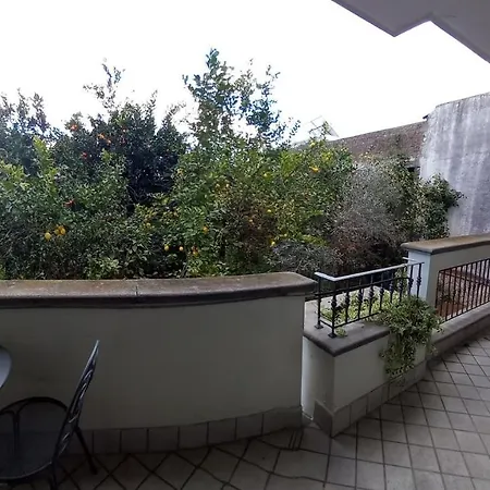 Certe Notti -